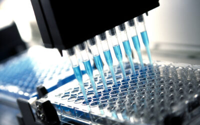 Everything You Need to Know About COVID-19 PCR Testing